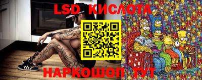 ПСИЛОЦИБИНОВЫЕ ГРИБЫ Шебекино