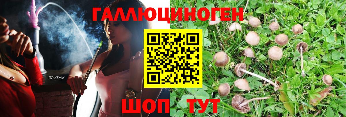 Галлюциногенные грибы MAGIC MUSHROOMS Лабытнанги